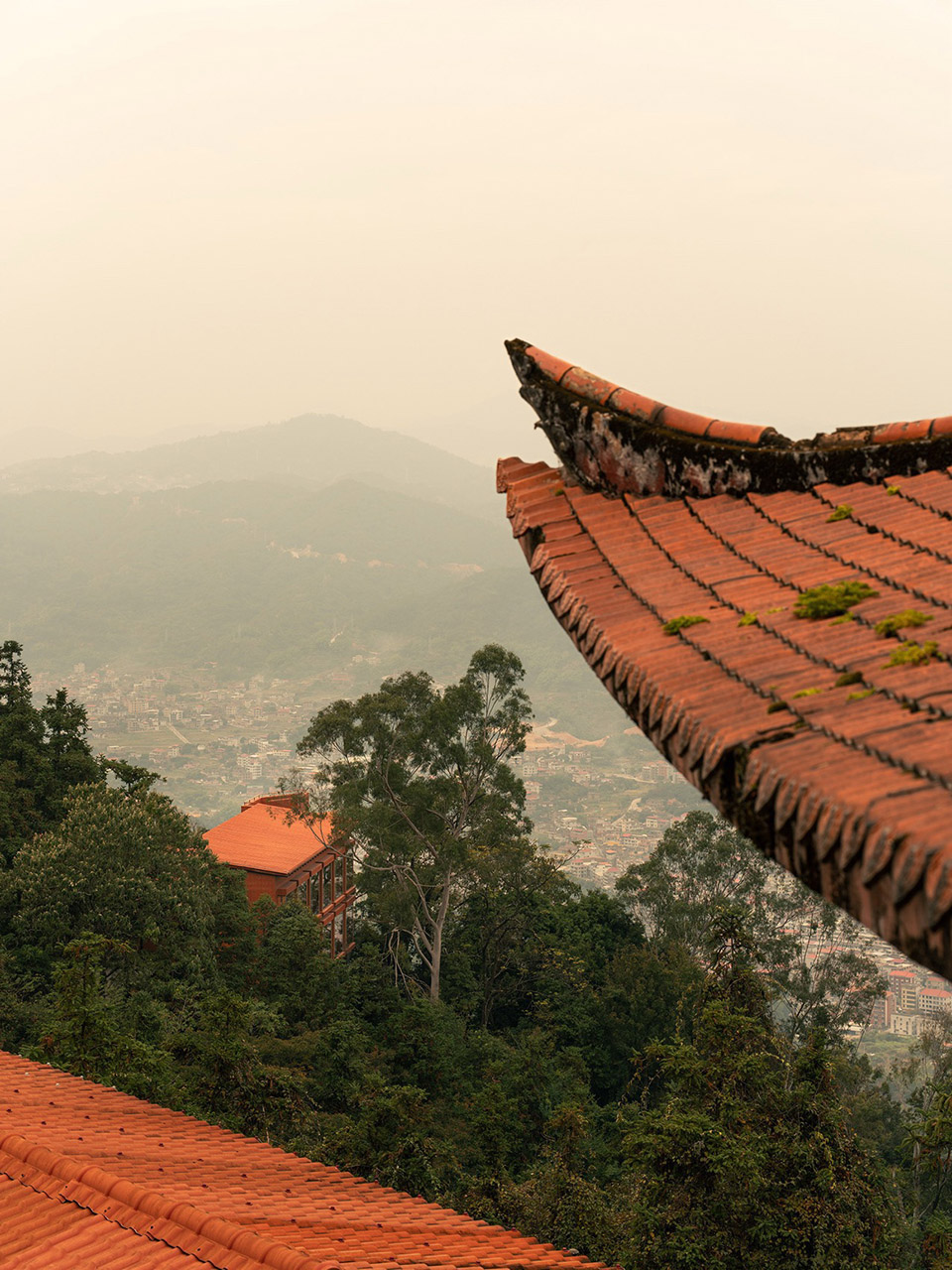 清水禅舍丨中国泉州丨厦门泛华·回应建筑工作室-6
