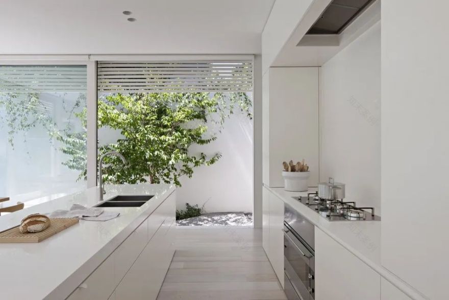 伯恩路住宅 | 中央打破的建筑与花园互动-16