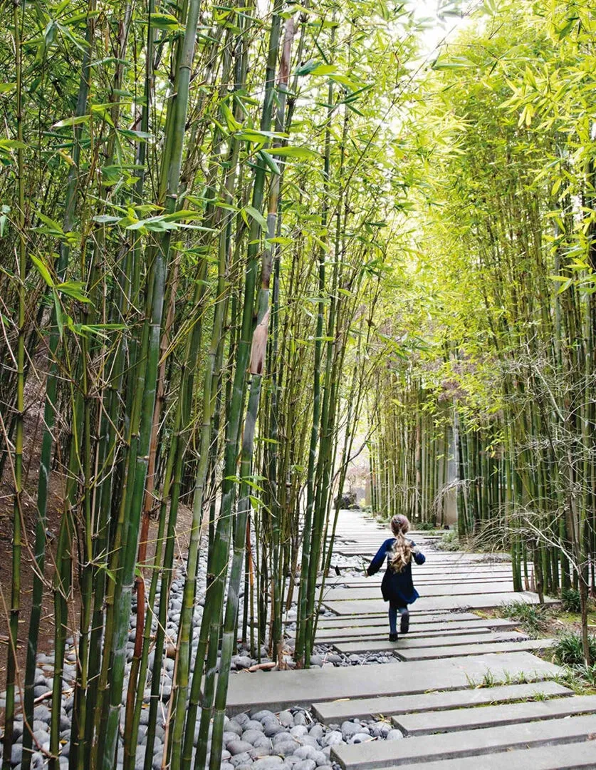 Hacienda Tiburon Landscape-14