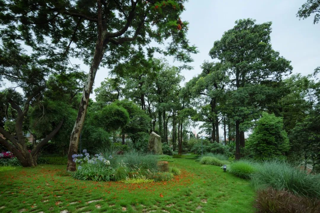 鹭潮·鼓浪屿美院丨中国厦门丨GND杰地景观-117