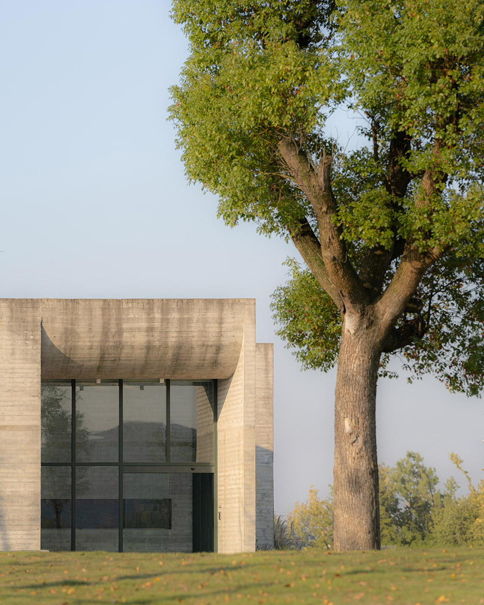 银杏画廊丨中国嘉兴丨MORE Architecture-14