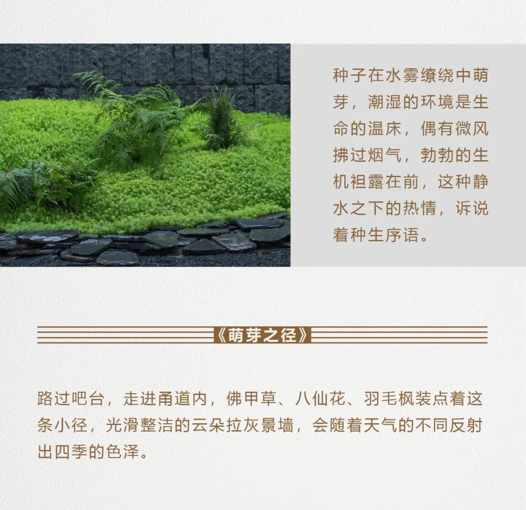 上海南桥金茂悦生机艺术馆——现代都市中的自然之境-4