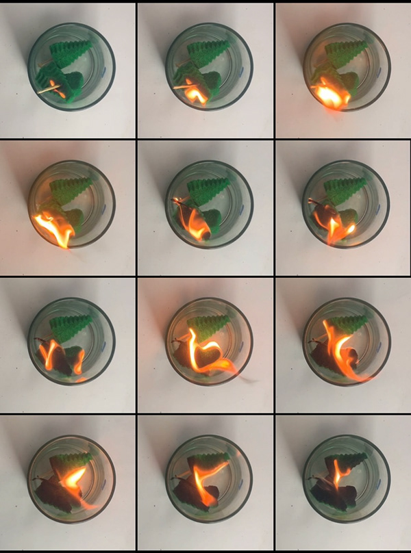 EJERCICIO 2: EL ESPACIO DESDE LOS ELEMENTOS NATURALES-51