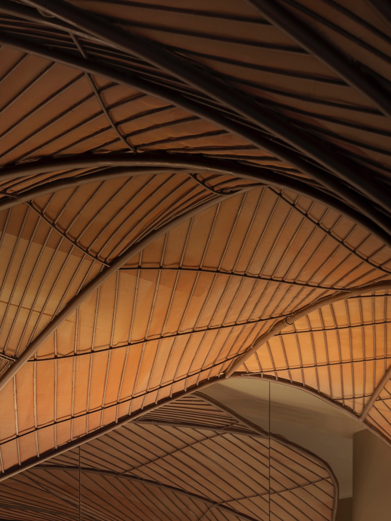 唐采，山西 / 浆果设计研究所-48