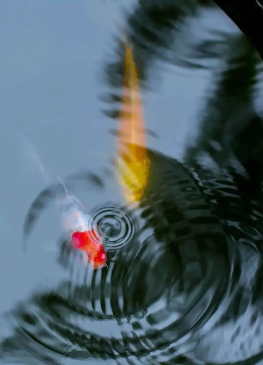 江苏南通海门·鸿麦家园-50