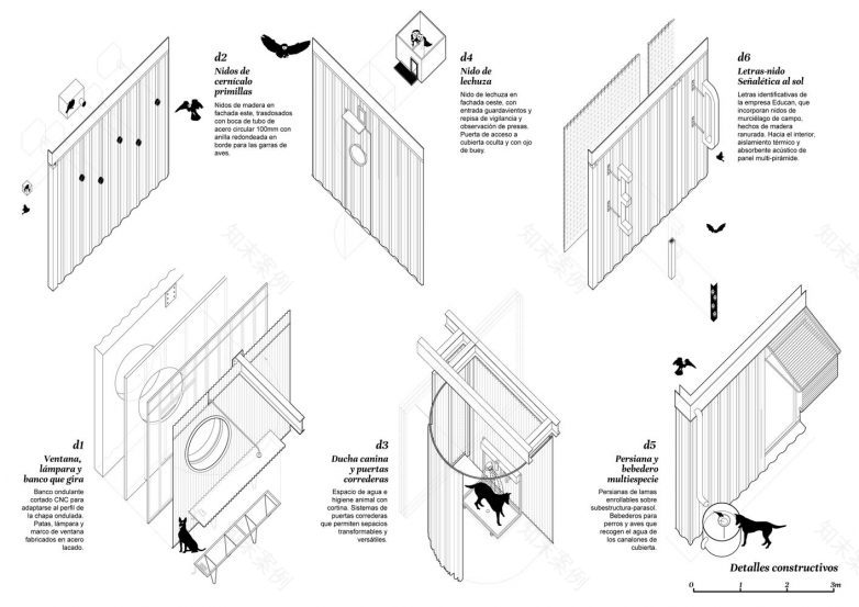 西班牙Edukan犬类,人类及其他物种学校丨西班牙马德里-32
