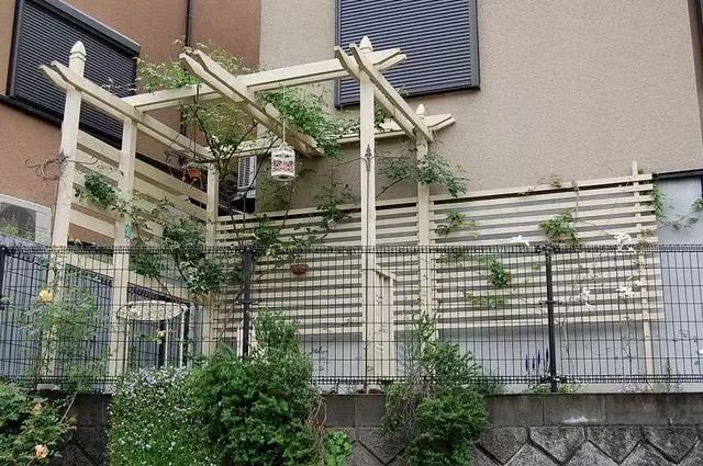 历时19年，小哥熬成大叔，不断改造进化的4㎡小院子！-34