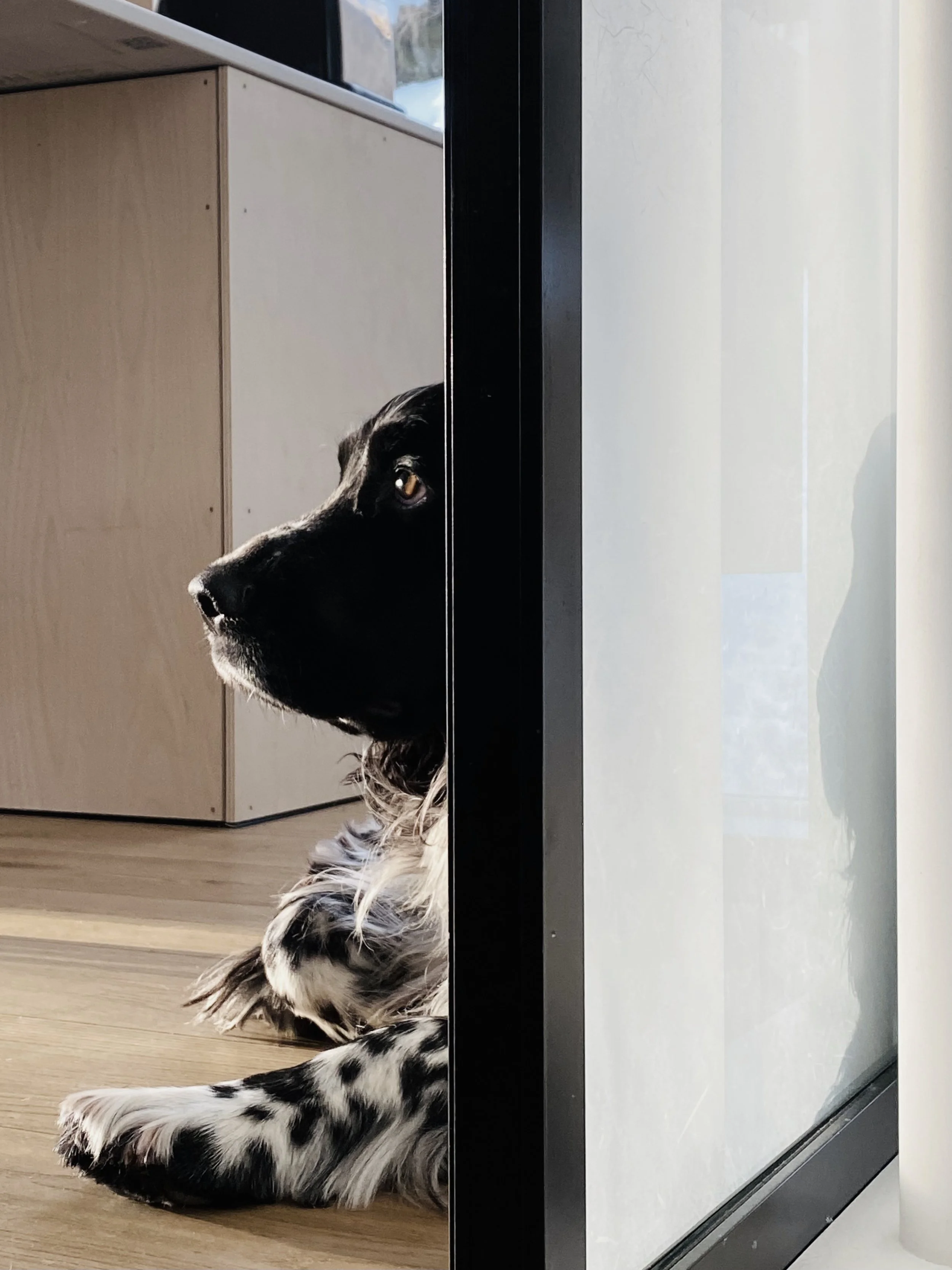 Kvist,Knarvik住宅项目丨Kvalbein Korsøen Arkitektur-33