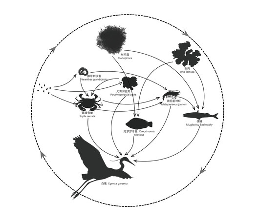 顺德云鹭湿地博物馆丨中国佛山丨Link-Arc建筑事务所-60