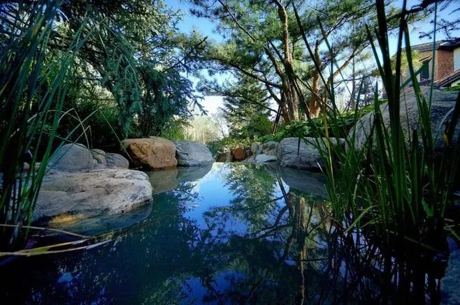 夏日庭院水景设计 | 营造清凉的休闲空间-13