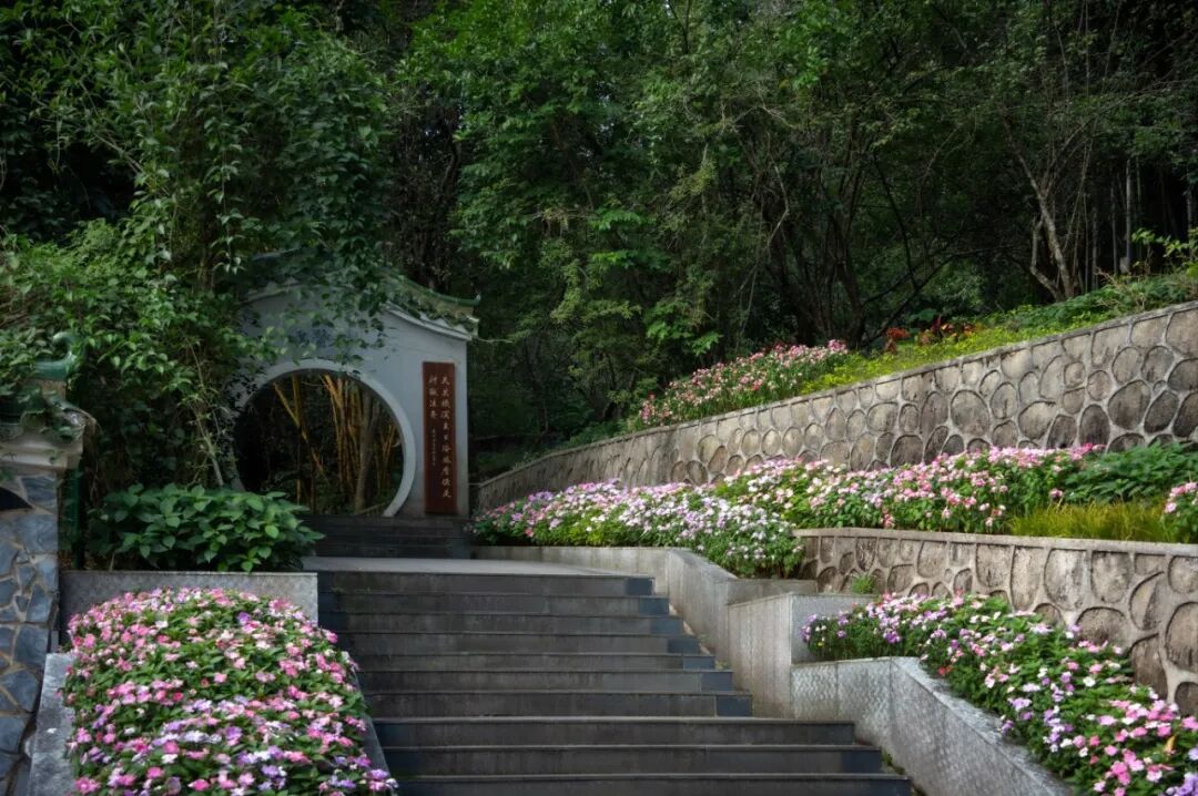 广东温泉宾馆松园一号户外园林景观改造工程丨中国广州-2