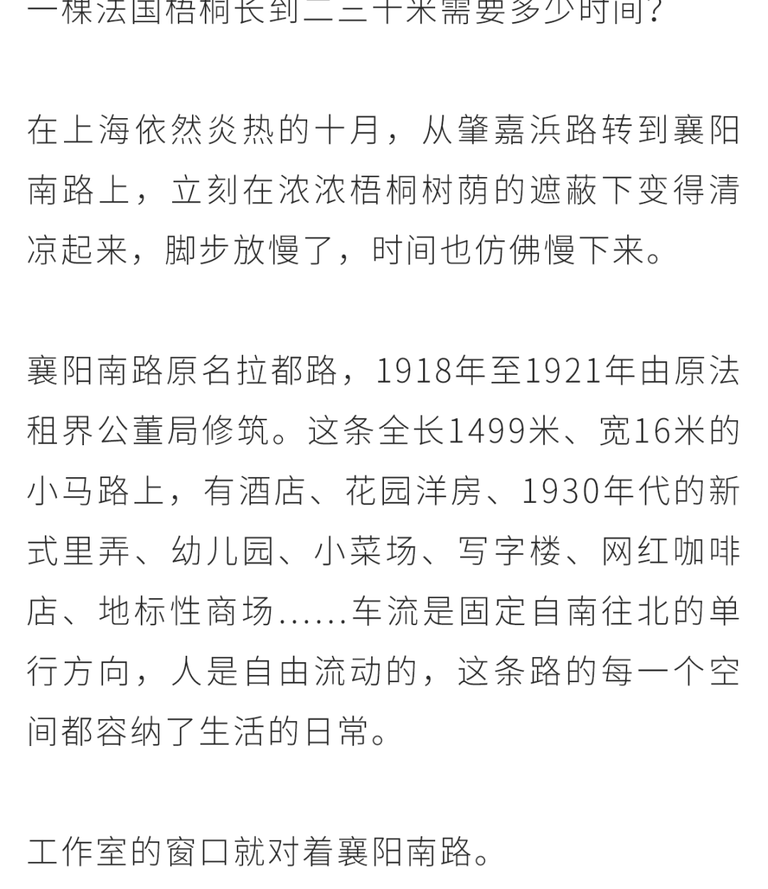 米凹办公室丨中国上海丨米凹工作室-1