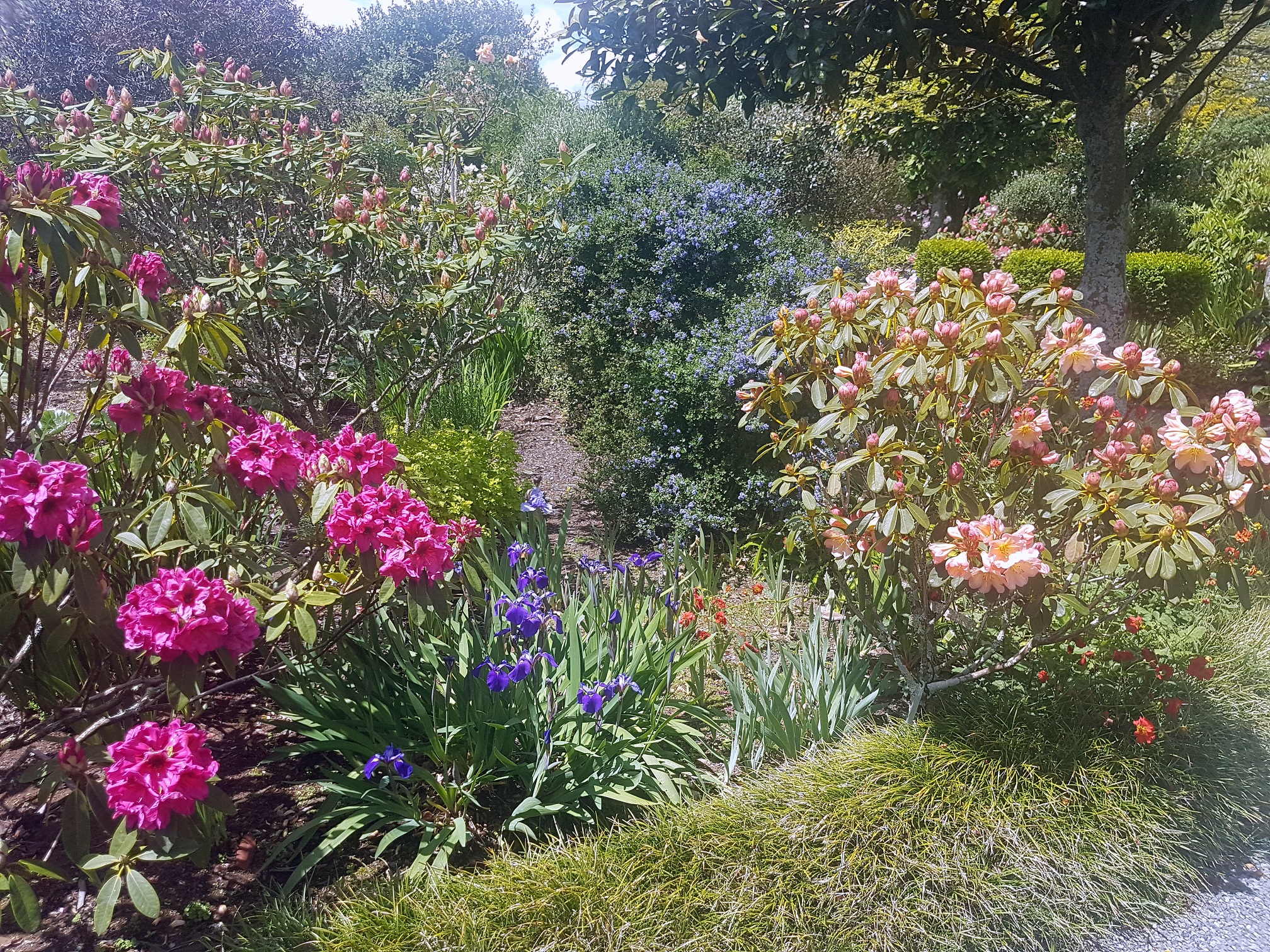 Cairnhill私人花园-23