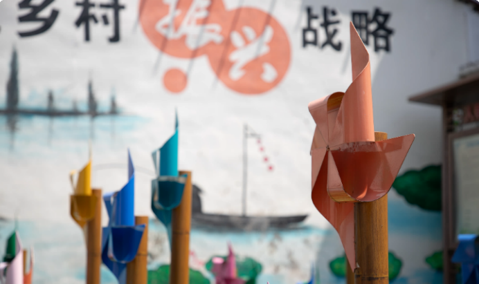 苏州市震泽镇“五美三优”乡村改造丨中国苏州-32