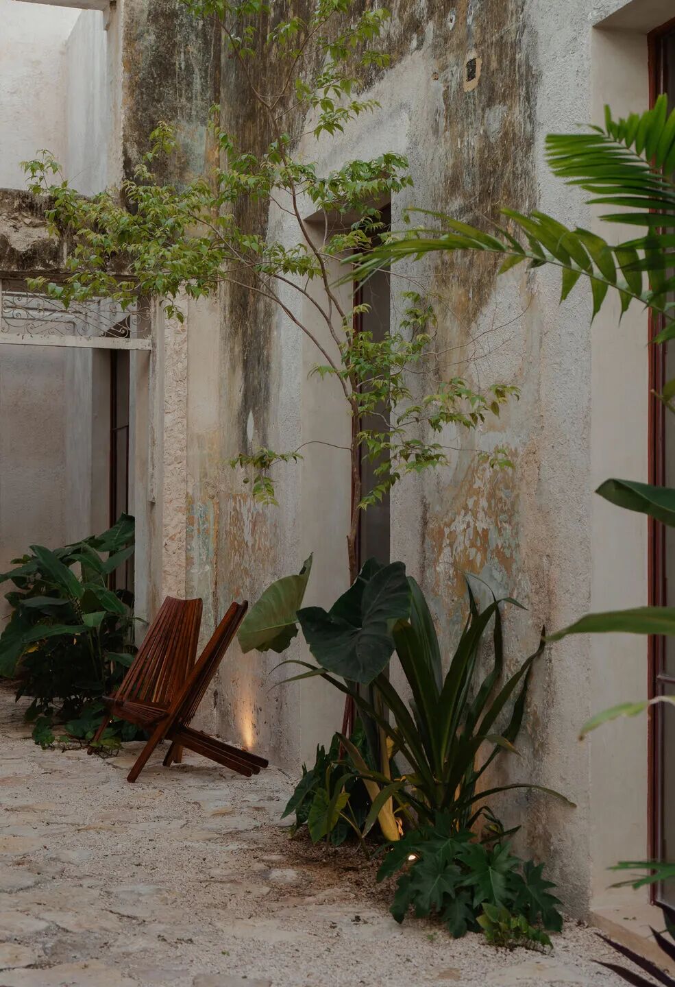 Aljibe之家丨墨西哥丨Veinte Diezz Arquitectos-28