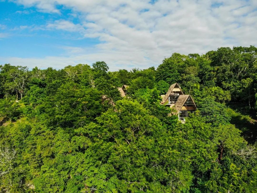 400m²墨西哥 Azul nomeolvides 度假屋 | 生物气候建筑与自然的和谐共生-33