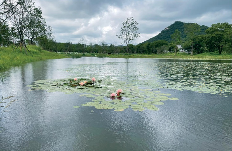 台州鉴洋湖湿地公园首启区景观设计丨中国台州丨AECOM-52