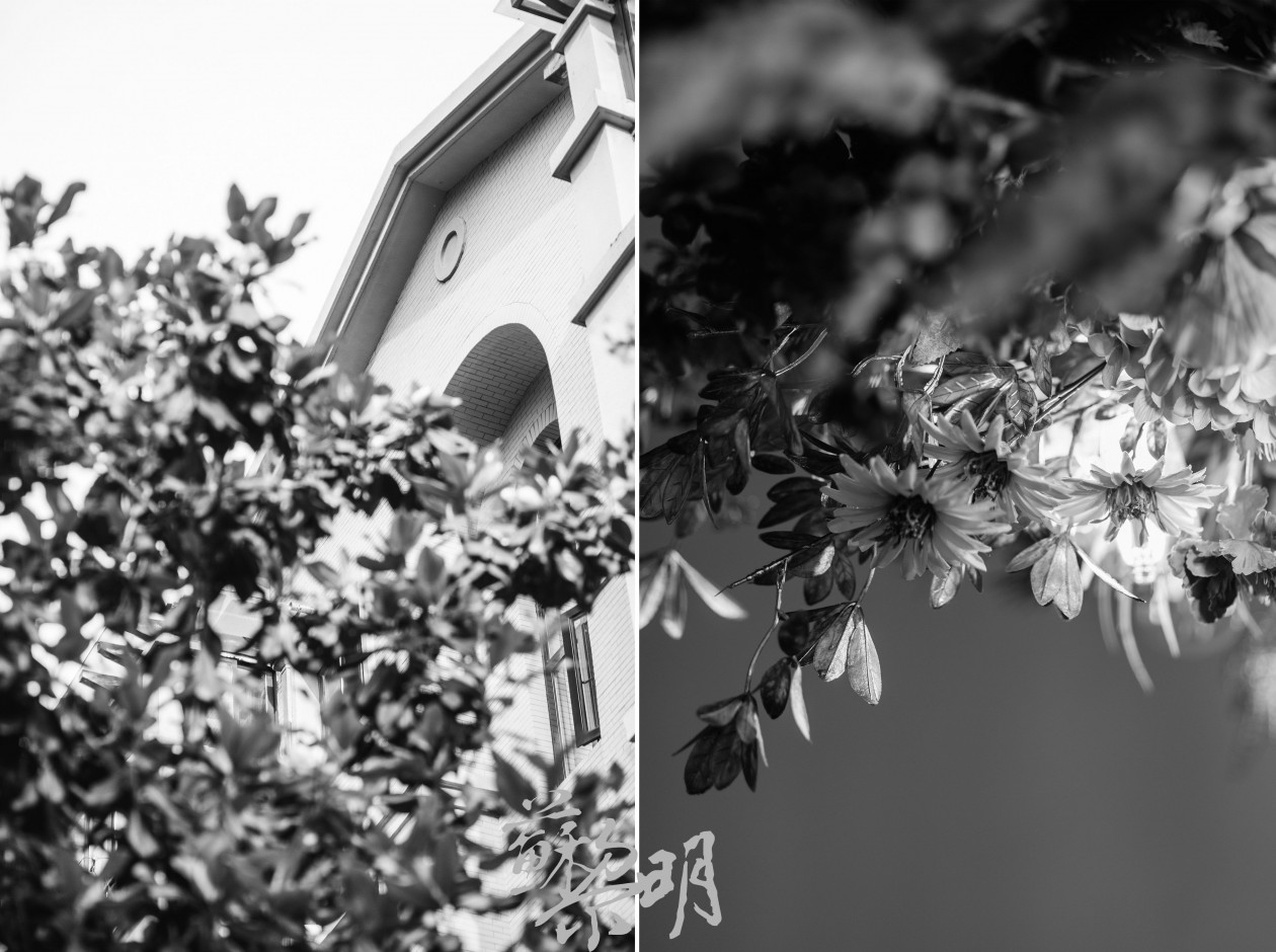 浪漫婚礼策划工作室-6