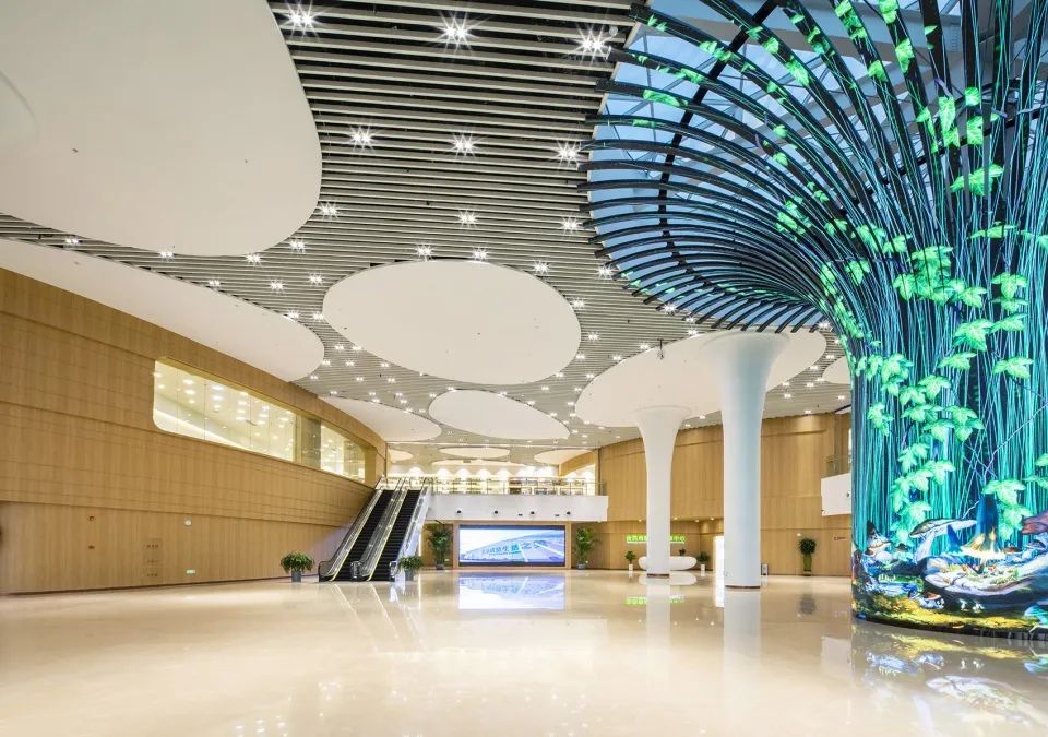 邹城市蘑菇展览馆丨同圆设计集团股份有限公司-45