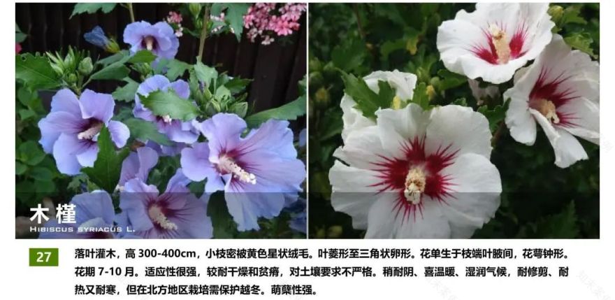 西安融创曲江印二楼屋顶花园丨中国西安丨魏玛设计集团-107