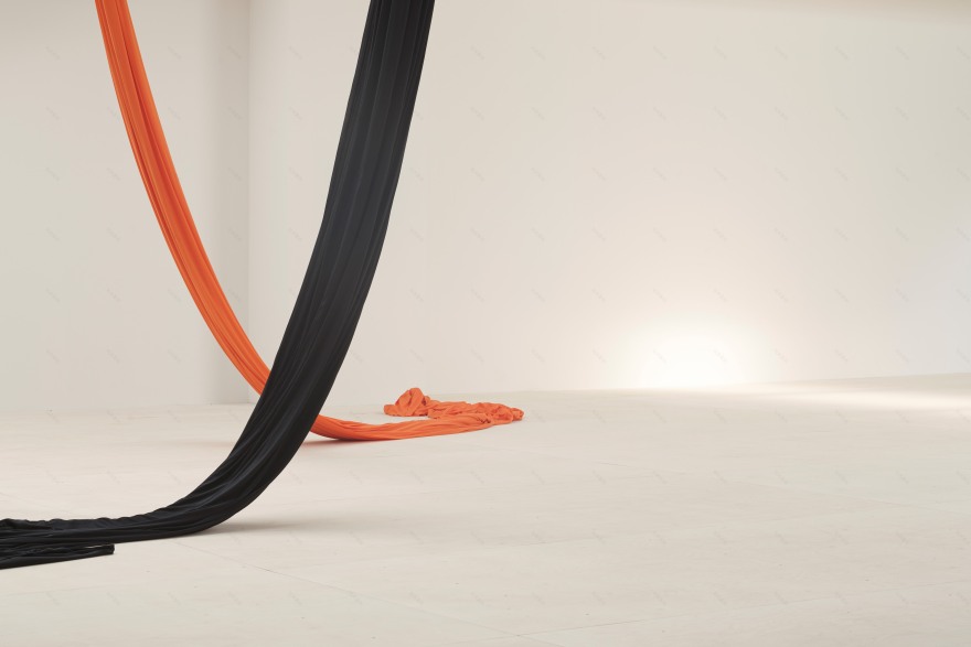 双面空间 · 日本武道馆的多功能设计-26