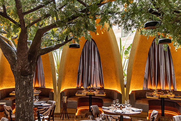 The Meat & Wine Co· Safari餐厅设计丨澳大利亚悉尼-25