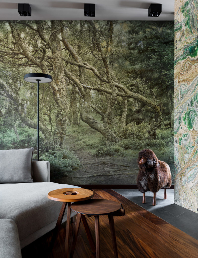 莫斯科近郊住宅室内设计项目丨俄罗斯莫斯科丨“Галерея Фрейман”建筑事务所-13