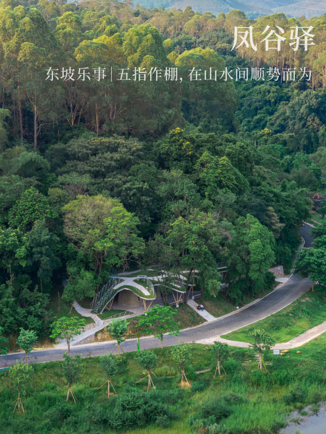 风语筑｜东坡乐事凤谷驿：五指作棚，在山水间顺势而为-0