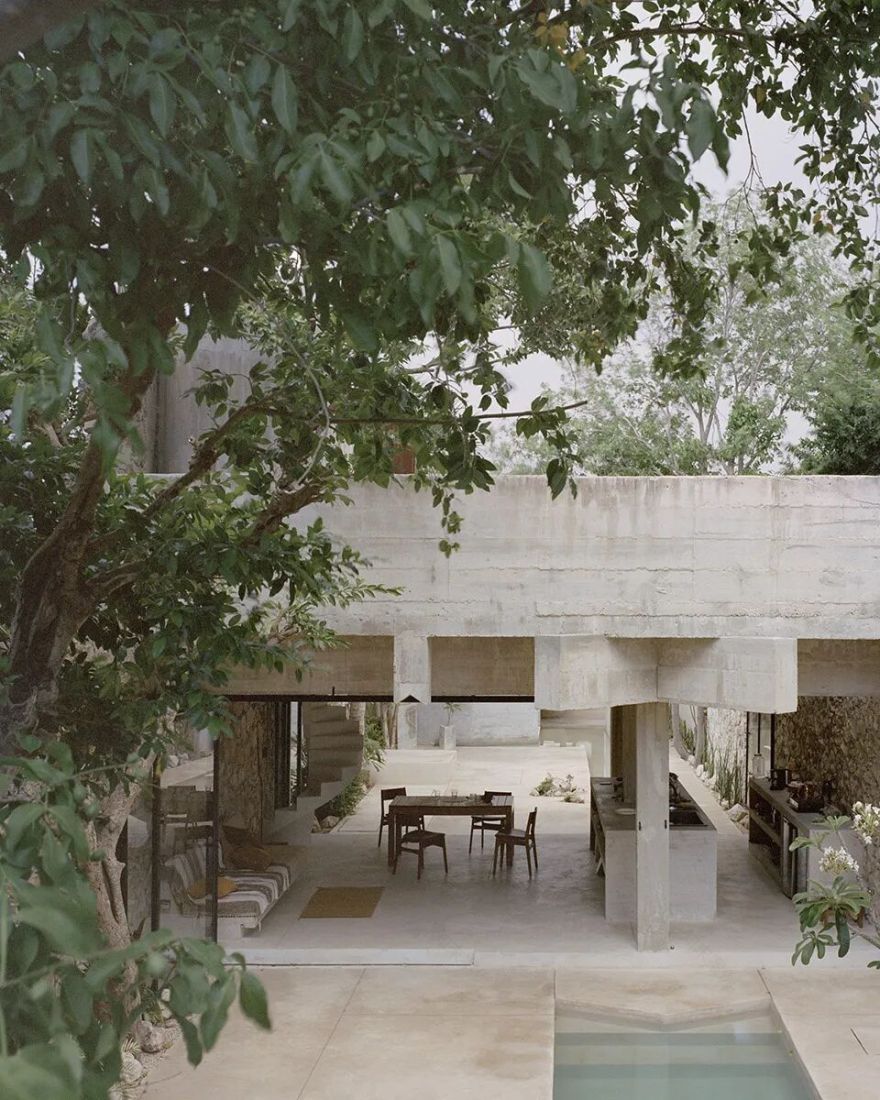 墨西哥椰林之家丨Ludwig Godefroy Office-17