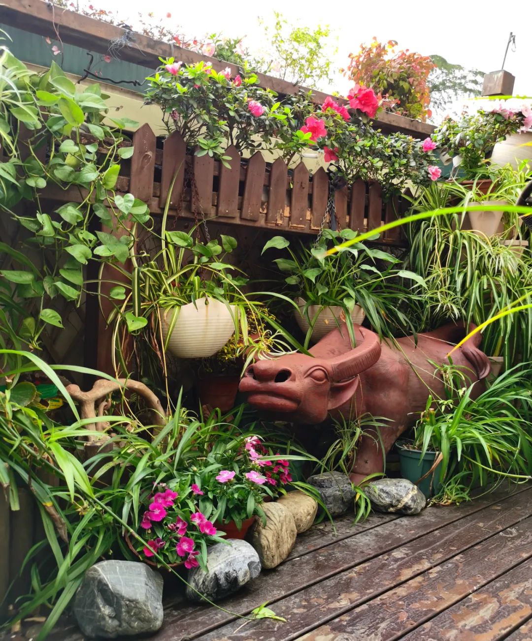 独居匠心，她把仅有10多㎡的小露台打造成成上海十佳“美丽阳台”之一！-28