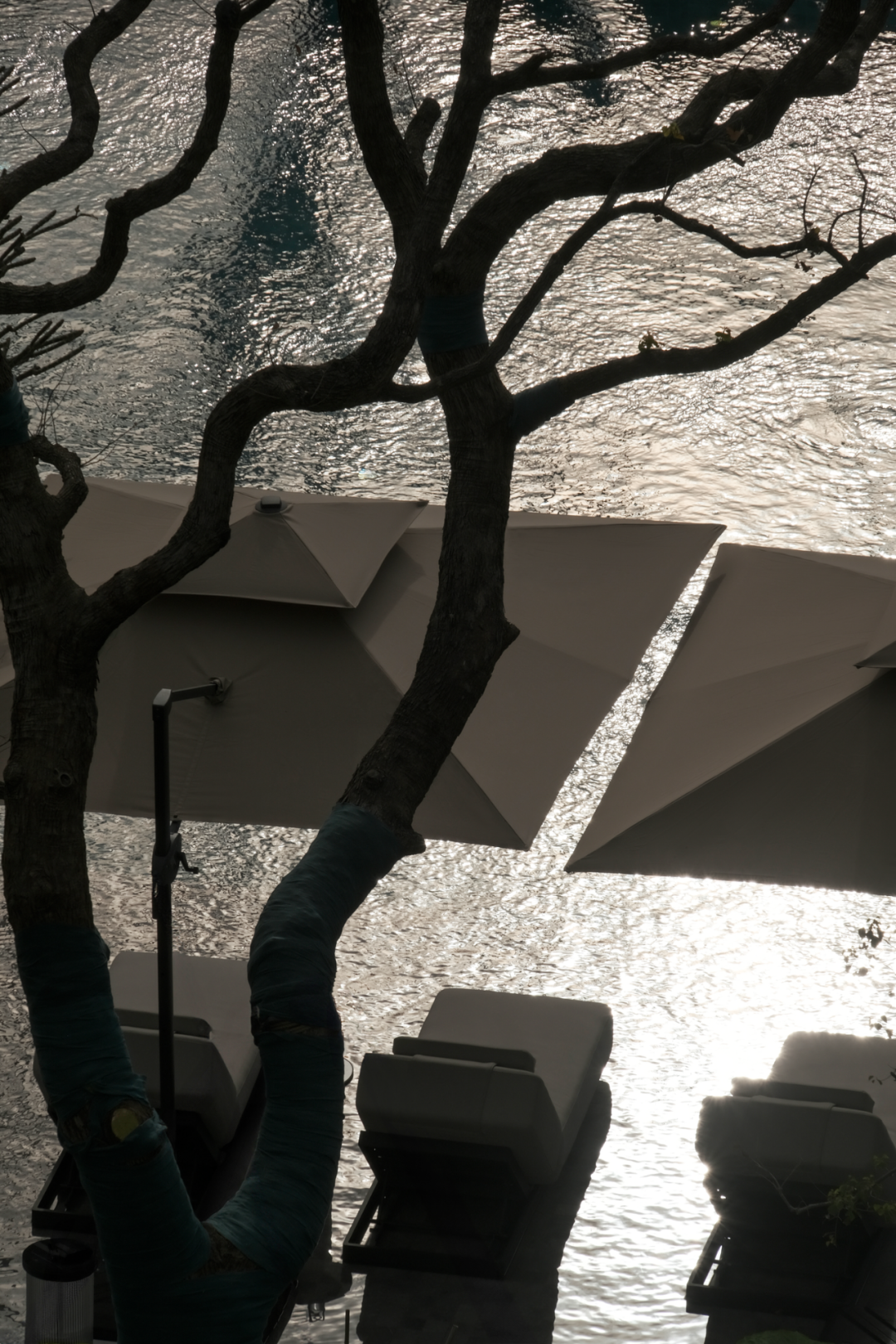 JTL加特林|汐线叠影，向深蓝凝望-深圳招商玺-53