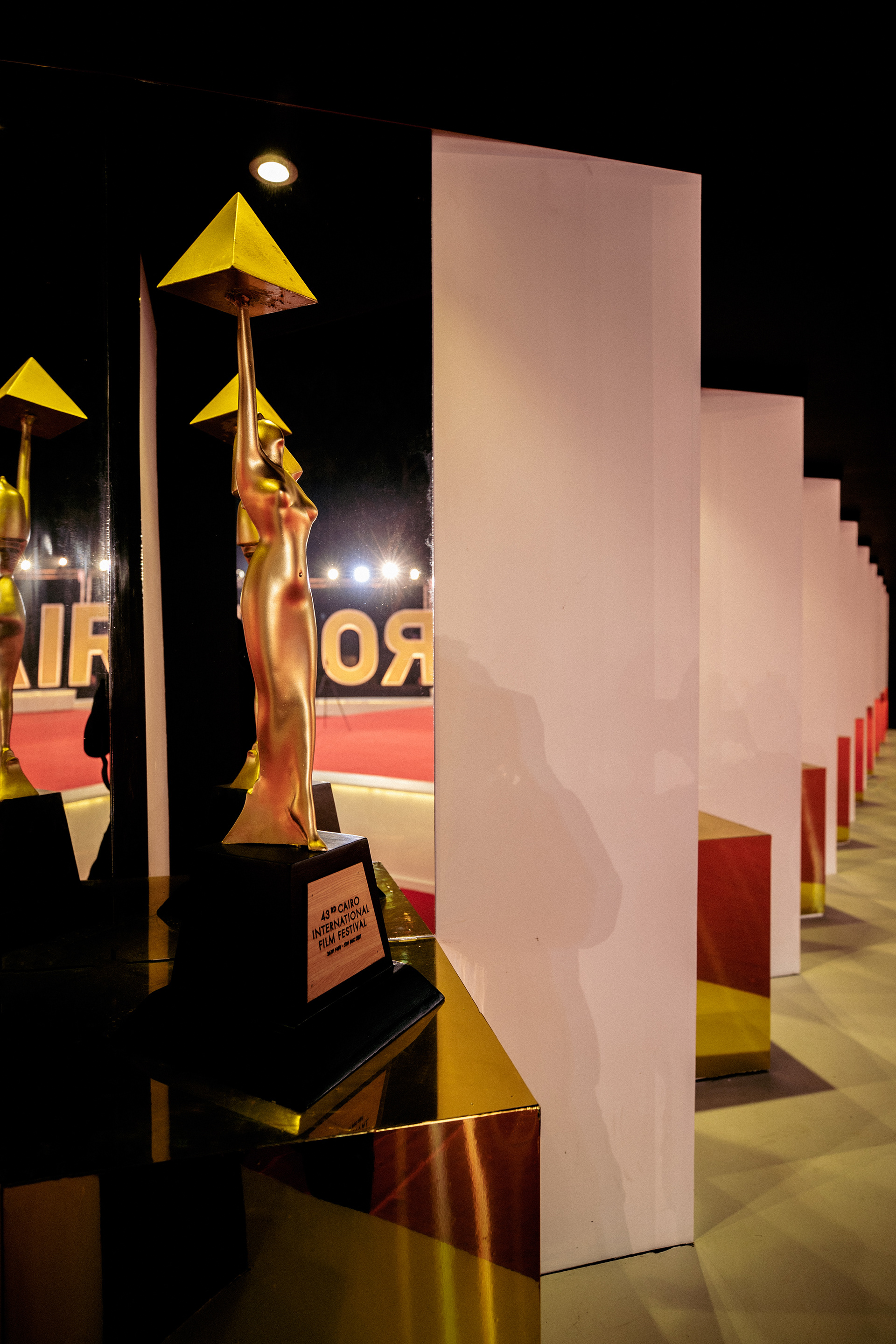 43 开罗国际电影节丨埃及开罗-36