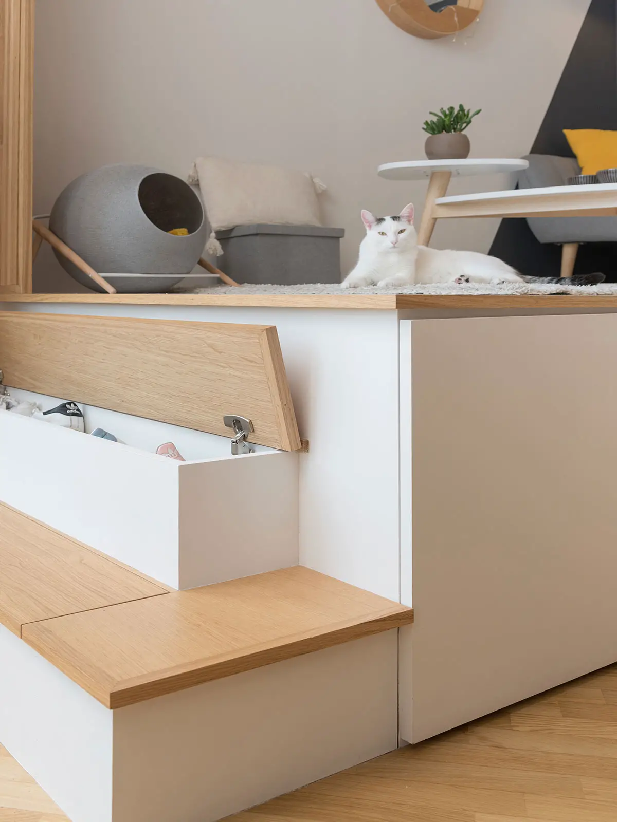 巴黎 20m2 公寓隐藏巧妙床铺设计-4