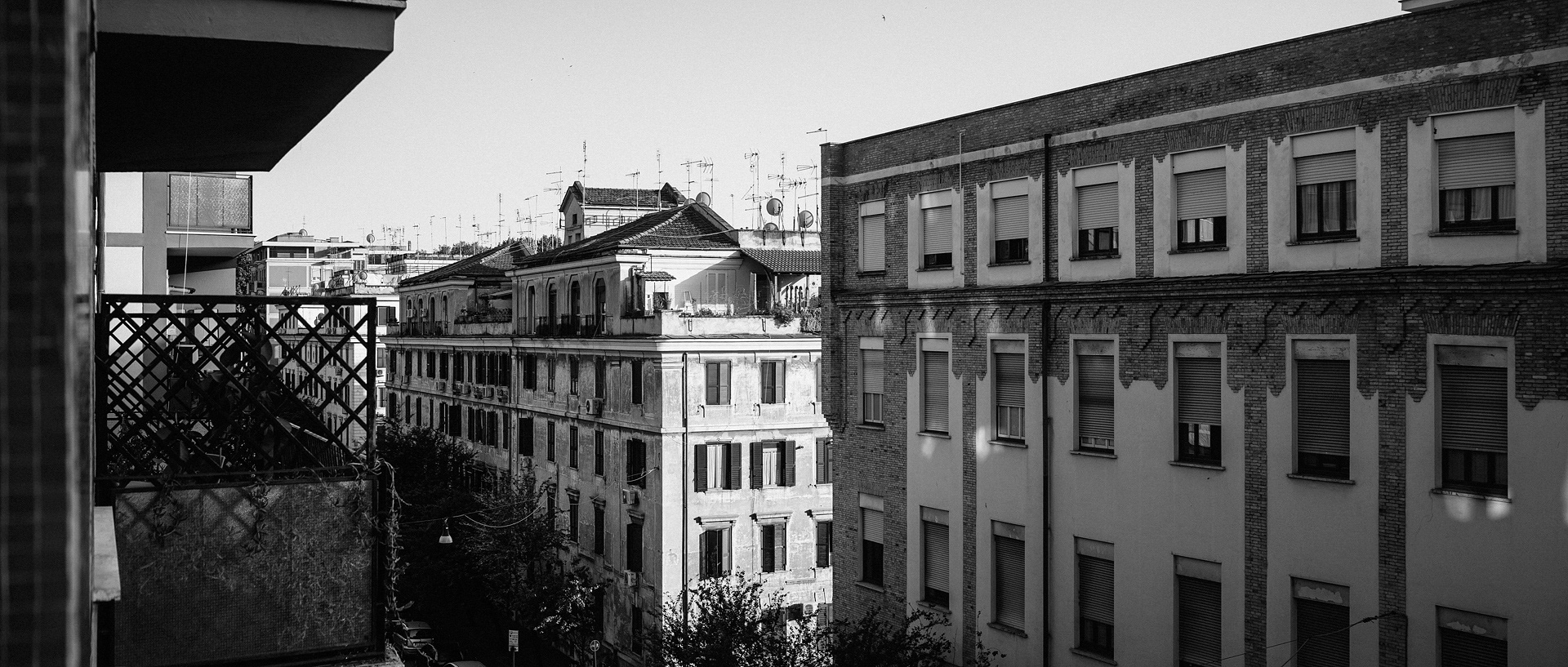 未命名丨Alexander Rentsch-4