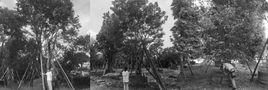 佛山金地·熙悦展示区丨中国佛山丨上海五贝景观设计有限公司-82