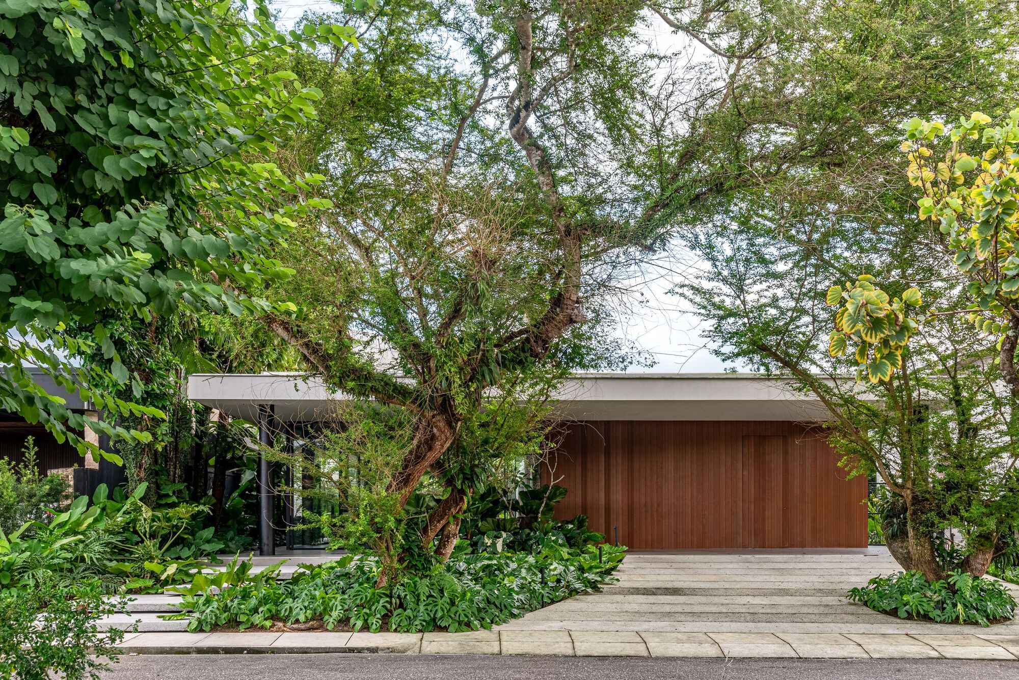 丨巴西丨studio gm-37