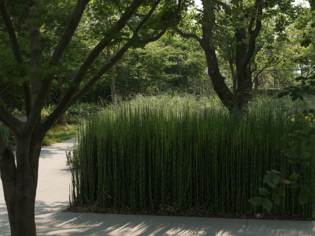 苏州和悦塘前雅院大区丨中国苏州丨MIND迈德景观-37