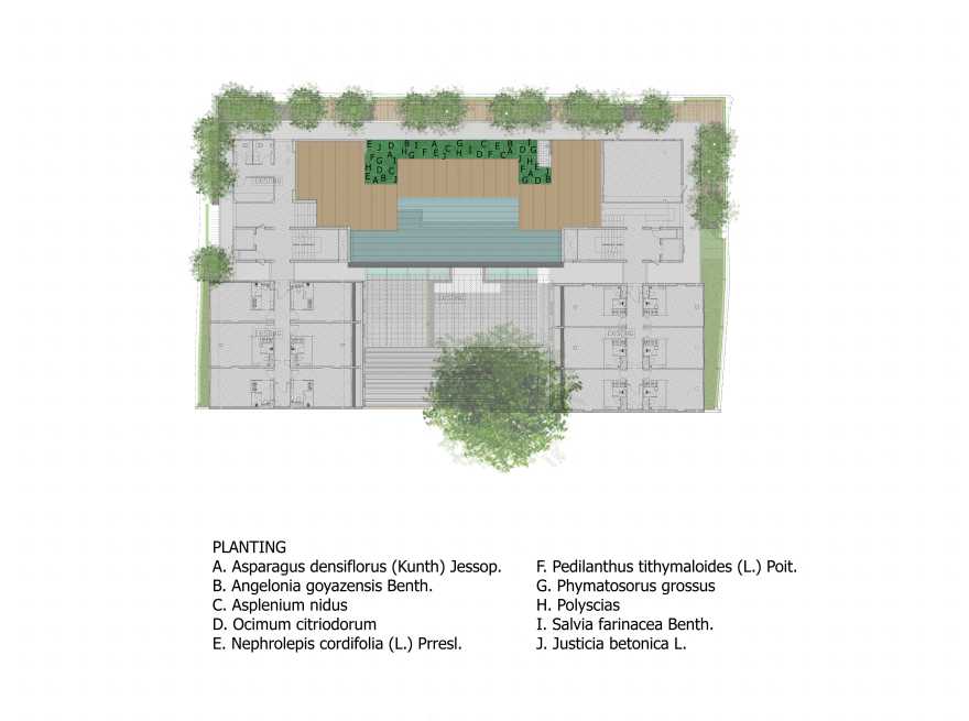 曼谷繁华区的绿色秘境 | 榕树下的 Ad Lib 酒店花园-30