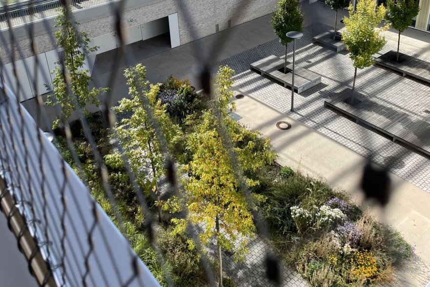 德国弗雷哈姆教育园区-23