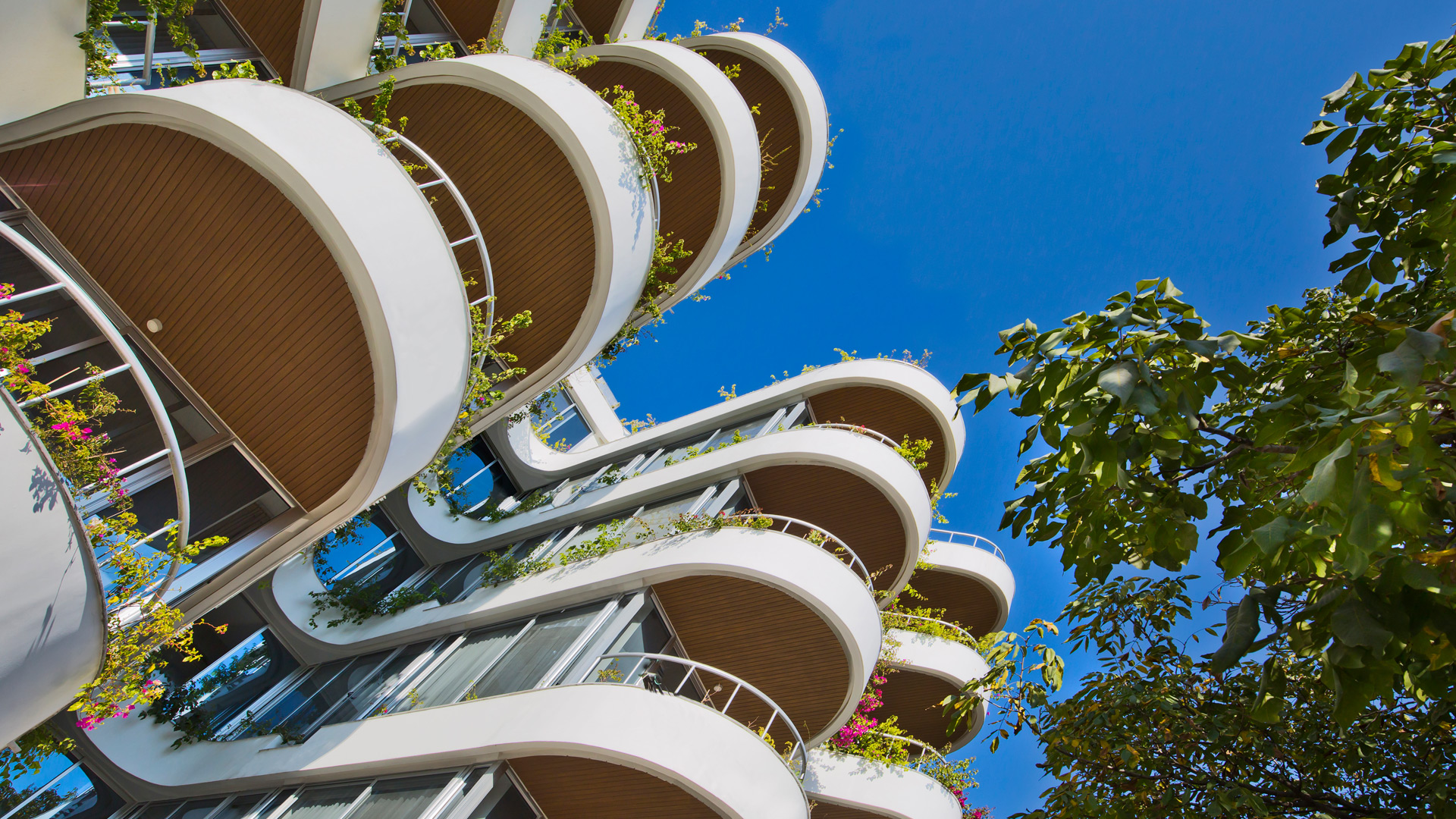 邦加维利亚·地图设计丨尼泊尔-23