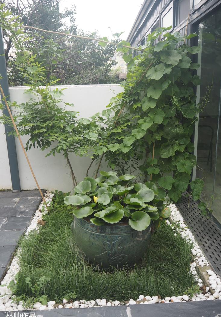 北戴河瑜伽小院——林设计师打造自然禅意空间-36