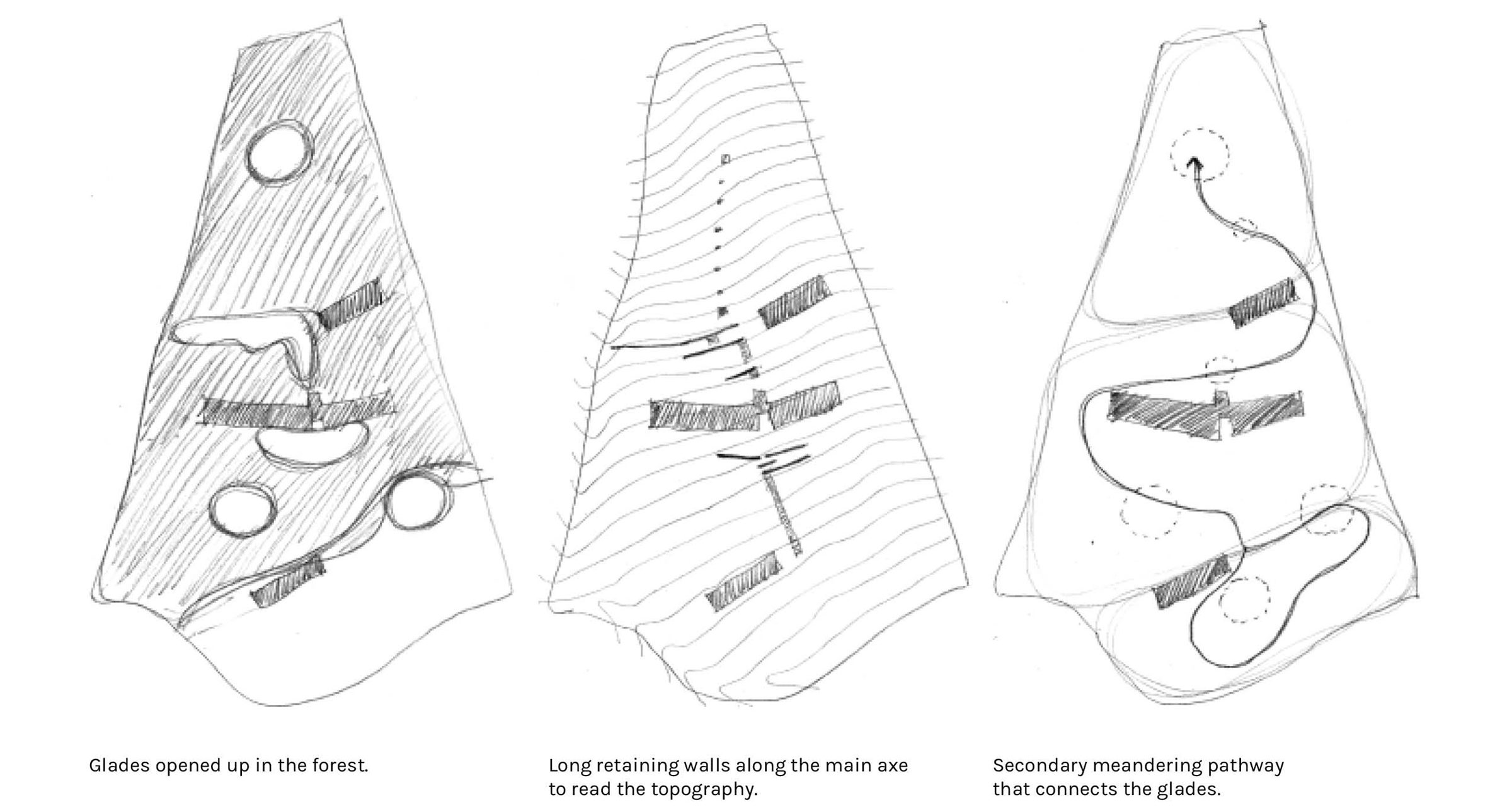 墨西哥森林花园-10