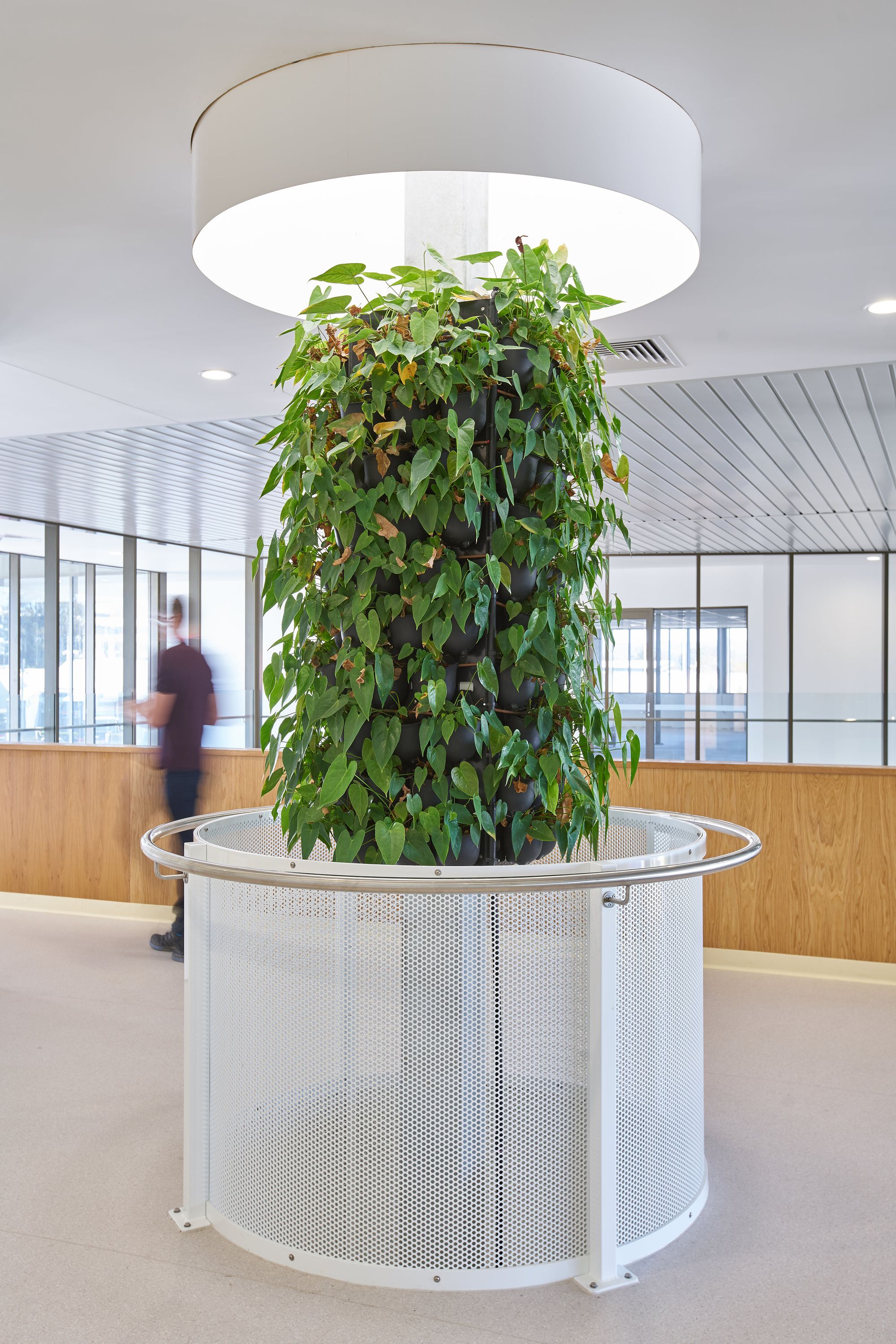 卡布尔彻特全科医生超级诊所-15