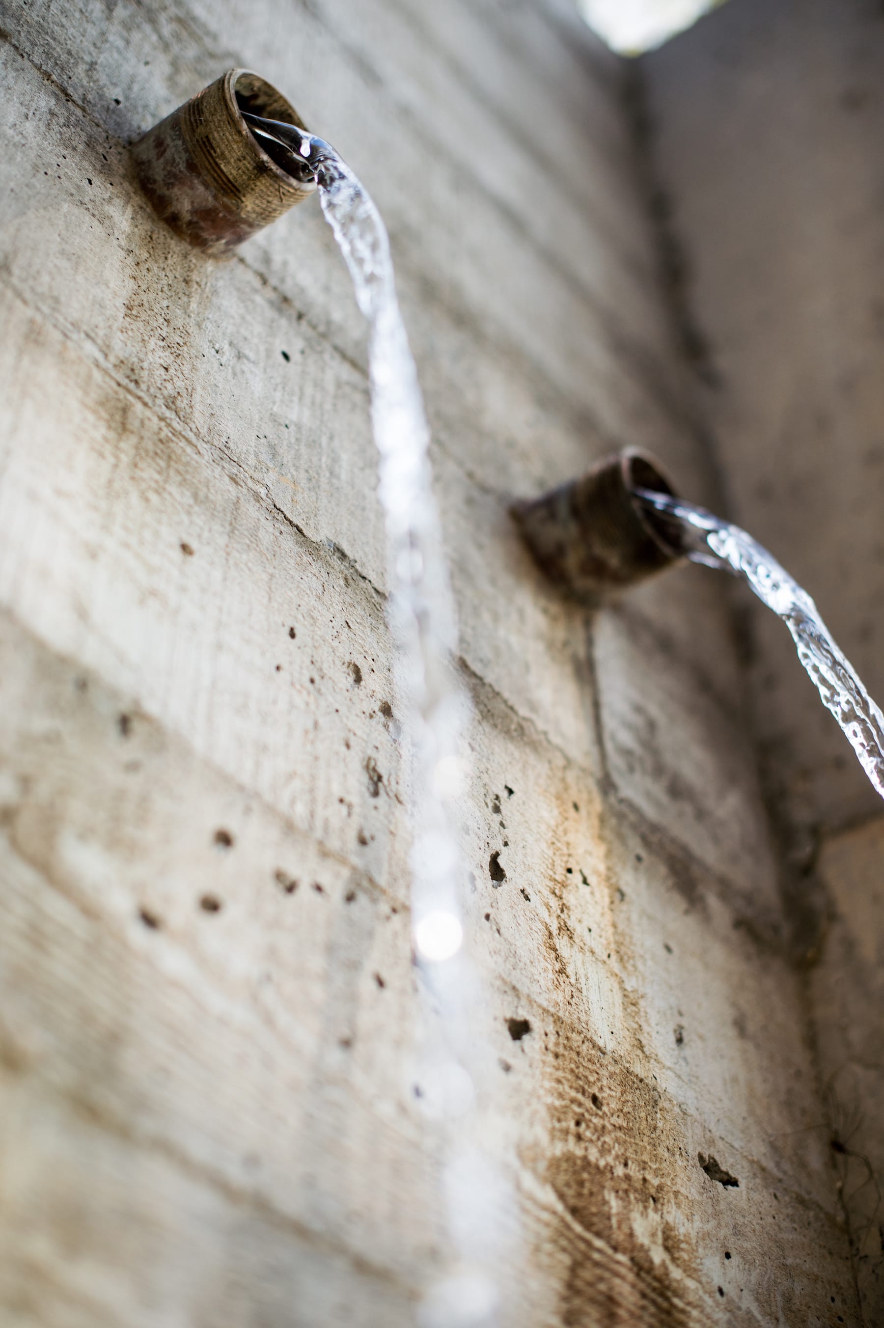 火鸡鞍丨美国-18