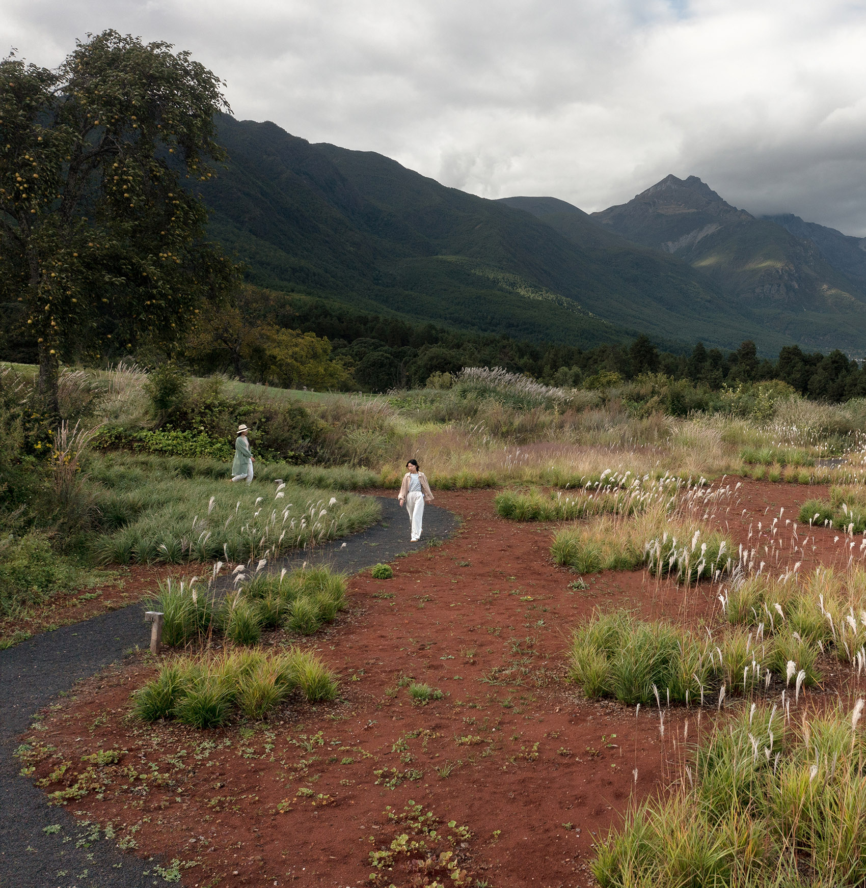荒野花园和草甸剧场丨中国白沙丨Z’scape致舍景观-38