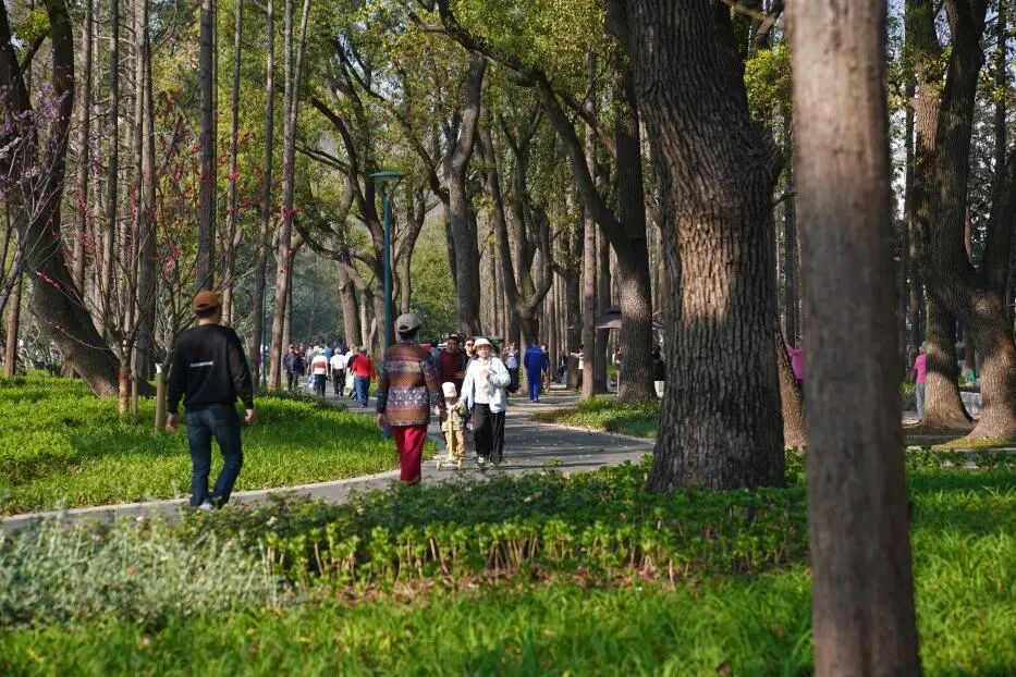 中国园林·理事专栏|“拓”之力量：杨浦公园改造纪实(三)-285