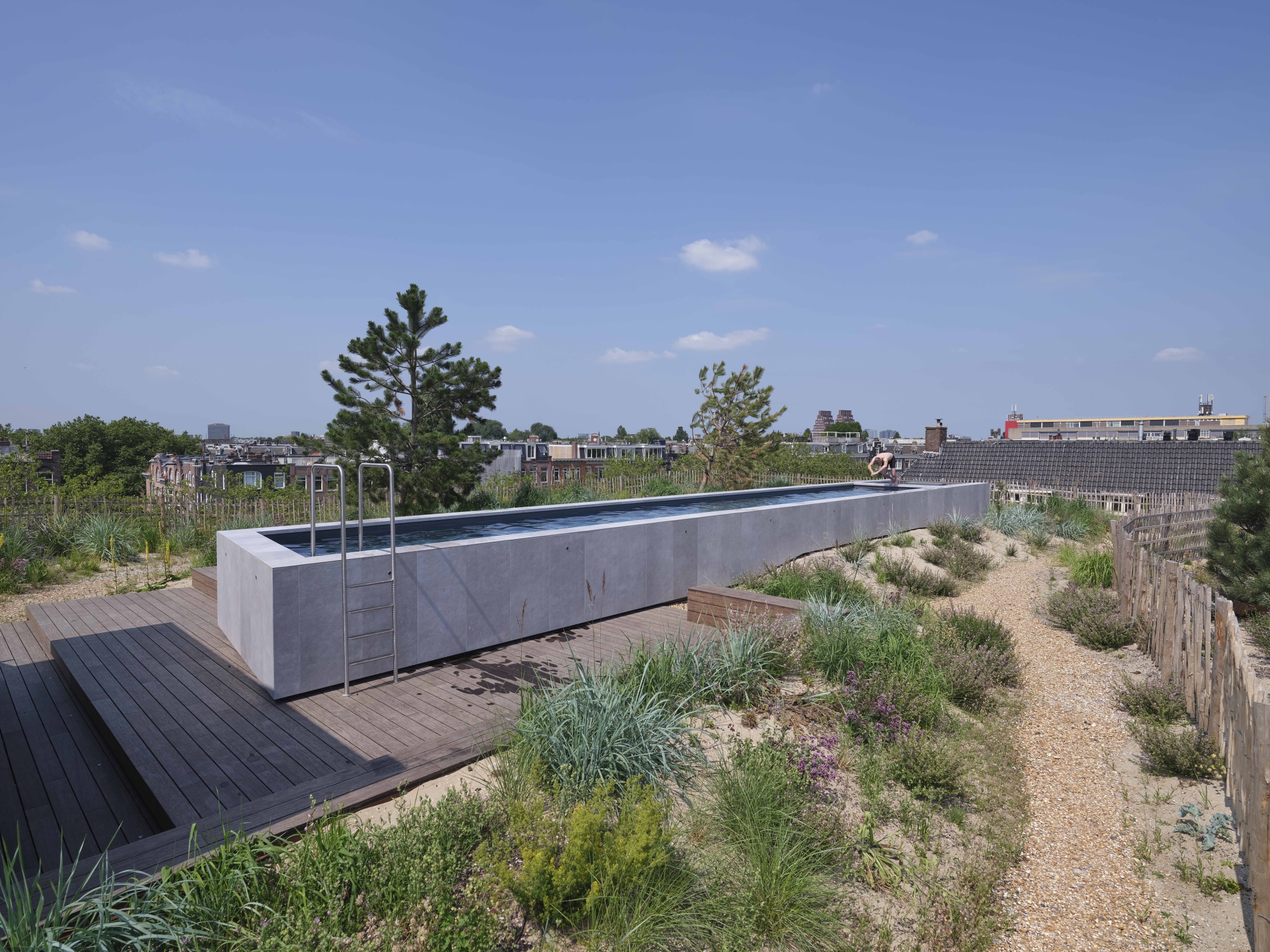 沙丘顶丨荷兰阿姆斯特丹丨Buro Harro-4