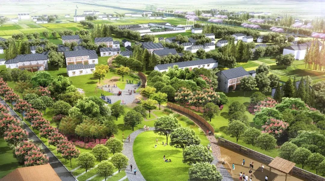 港西乡村公园生态基础设施建设与提升项目-19