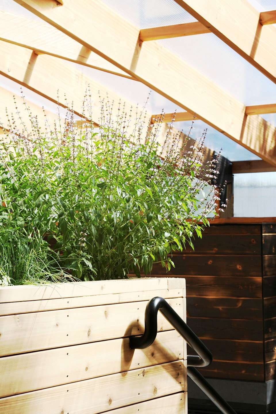 Home Away 住宅 | 共享温室里的现代生活-4