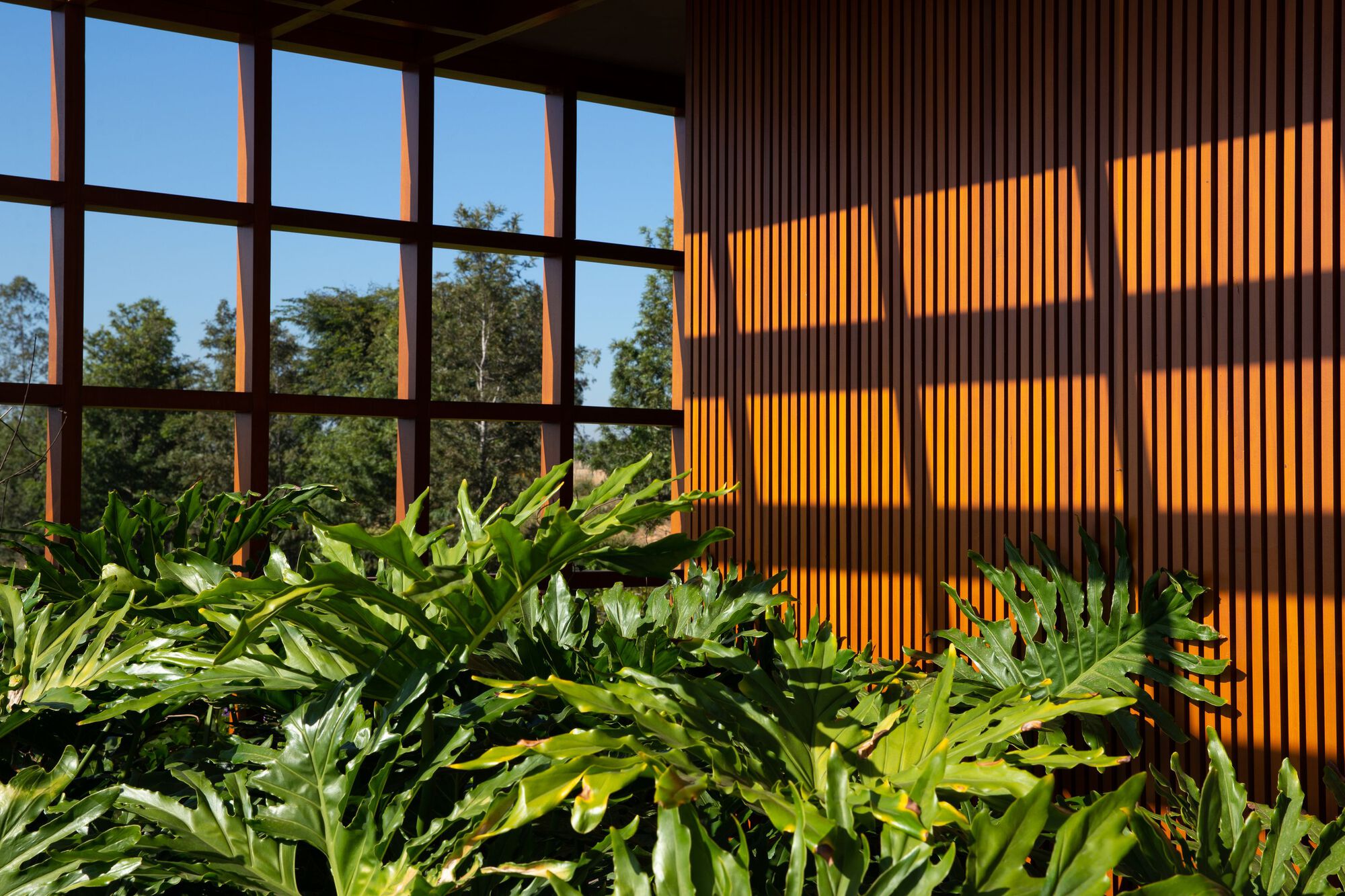 布劳宁哈斯之家丨巴西丨Pablo Lanza Arquitetura-43